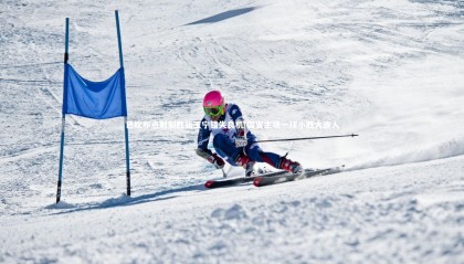 28圈_巴坎布点射制胜张玉宁错失良机 国安主场一球小胜大连人
