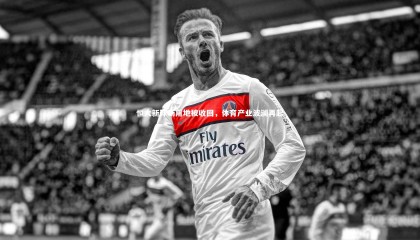 28圈-恒大新球场用地被收回，体育产业波澜再起